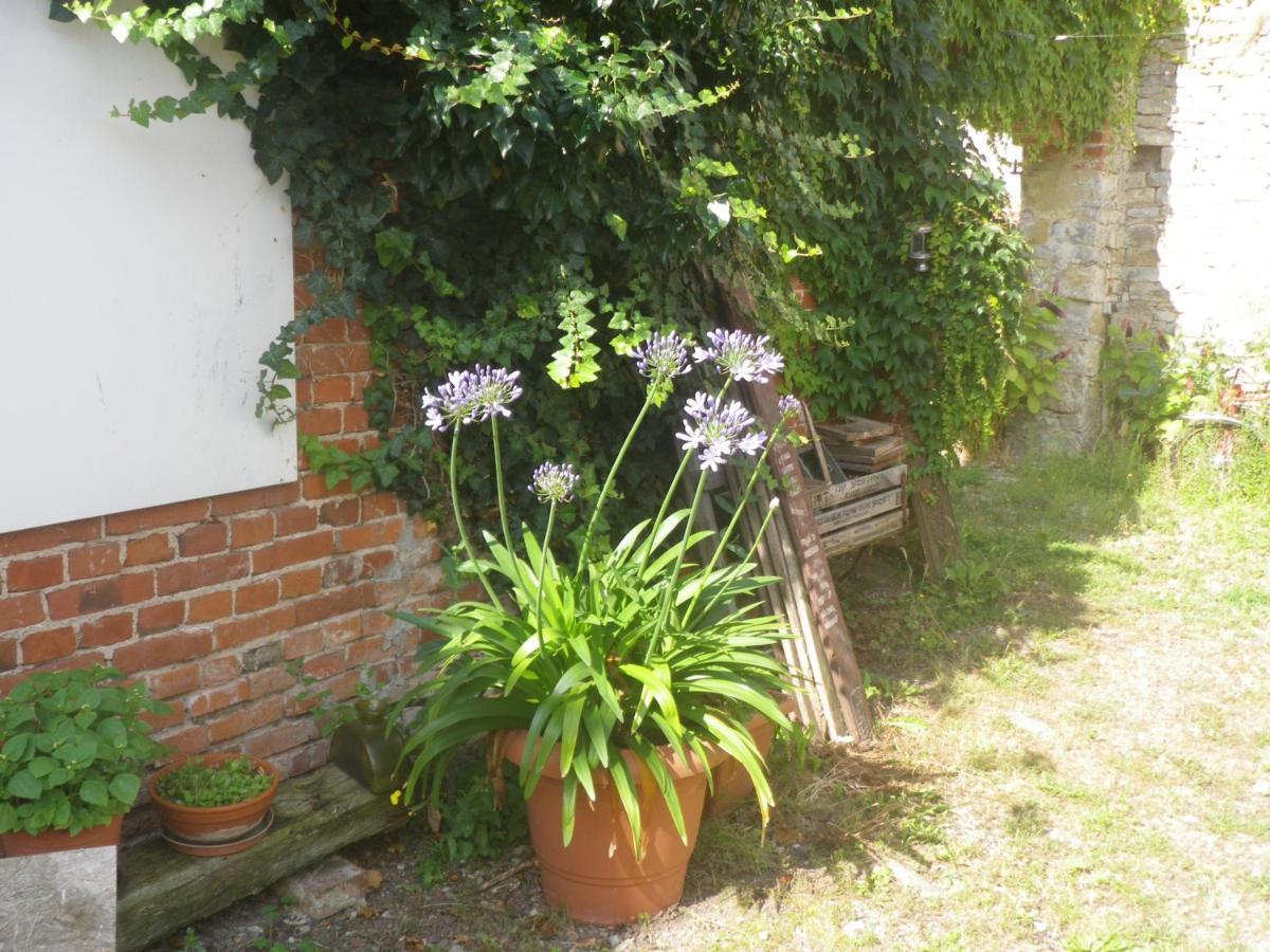 Apartment Drahtesel Oase